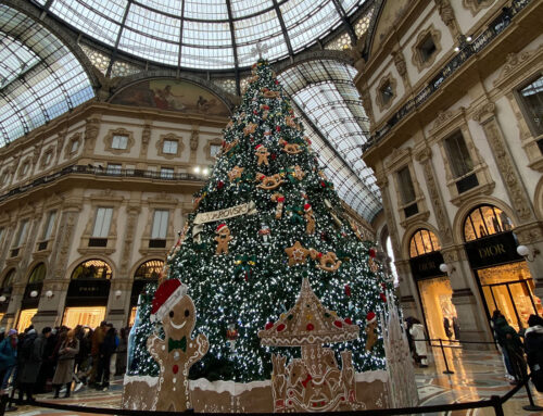 Il Natale degli alberi torna a Milano